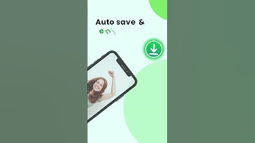 Fastest Way to Save WhatsApp Statuses: Tutorial 2024