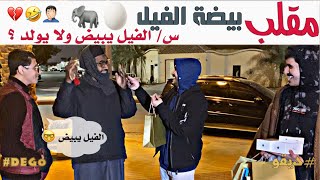 مقلب بيضة الفيل - سألت الناس الفيل يبيض ولا يولد ومقلبتهم 😂 لا تفوتكم الاجابات 🤦🏻‍♂️