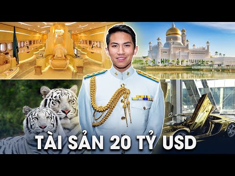 Video: Hoàng tử Alwaleed - Người giàu nhất Trung Đông - bị bắt bởi cảnh sát tham nhũng Ả Rập Saudi