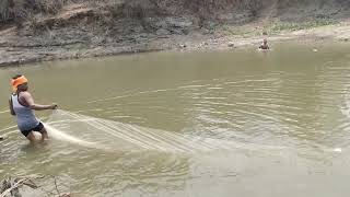 Most Popular Cast Net Fishing In Village Pond - Net Fishing With Beautiful Natural Part-4