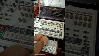Live de canicule #90s #acid #electronicmusic #synth