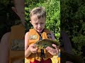 Ahob with a giant Sunfish we make into fish tacos. Check out the full movie.
