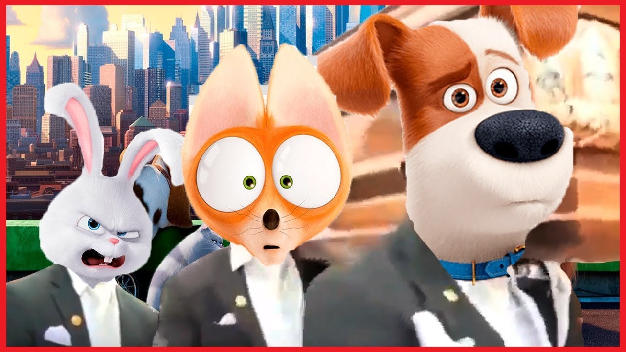 The Secret Life Of Pets - Coffin Dance Song COVER - YouTube