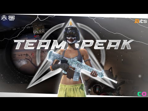 Team ALPI | GM Tournament - FINAL TEAMSPEAK | Triple (3) WWCD