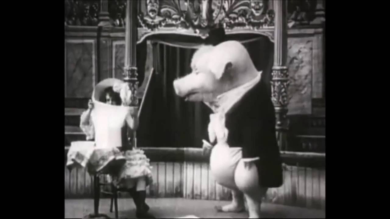 BATAKAZZO - SUS ESCROFA DOMESTICUS (S.E.D) OFICIAL VIDEO