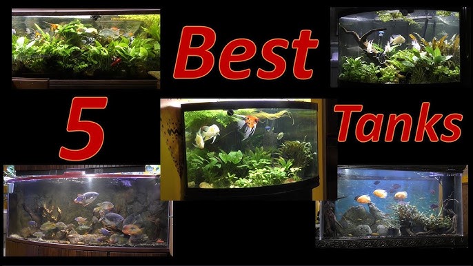 Using Play Sand in your Aquarium? 