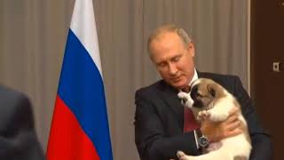 Президент Туркменистана подарил Путину щенка алабая по кличке Верный