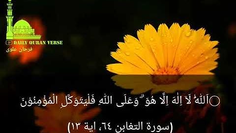 #daily_quran_verse | (At-Taghabun 64: Verse 13) | (سورة التغابن ٦٤، اية ١٣)