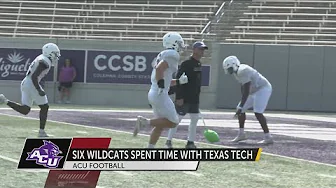 ACU faces Texas Tech in opener thumbnail
