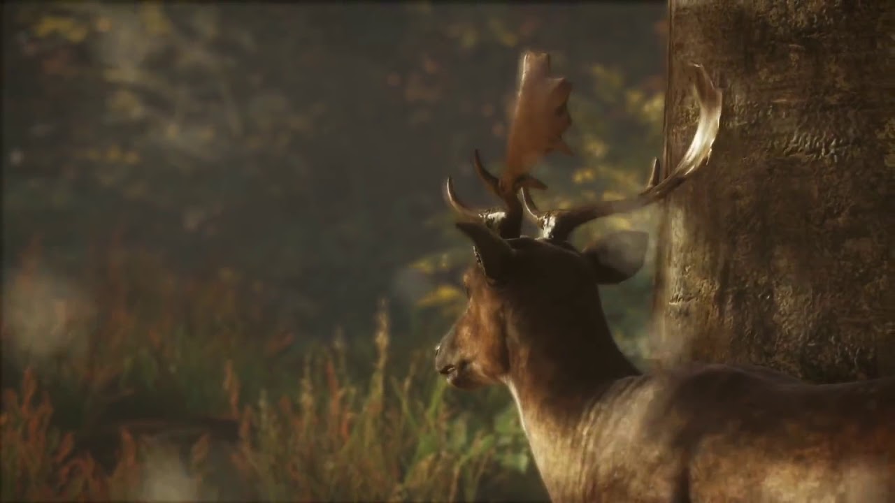 the hunter call of the wild pc how to move faster