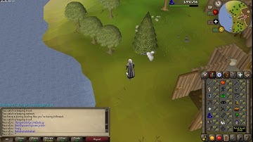 Necroeric - Fishing Pet - OSRS