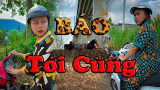 Báo Tới Cùng #videogiaitri #vochongson #nguyenhuyvlog