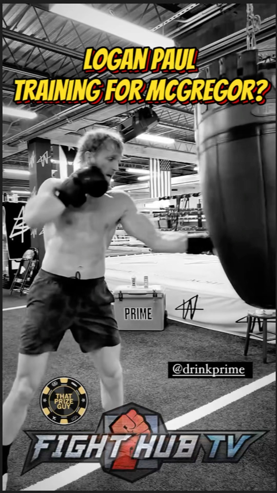 Logan Paul STARTS TRAINING for possible Mcgregor MEGA FIGHT in 2025!