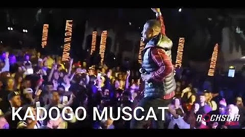 Kadogo ya Alikiba ilivyoimbwa na Mashabiki Muscat oman hutaamini mwanzo mwisho