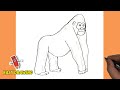 How To Draw A Gorilla Step BY Step A Gorilla Easy Line Drawings A Gorilla Drawings Tutorials 