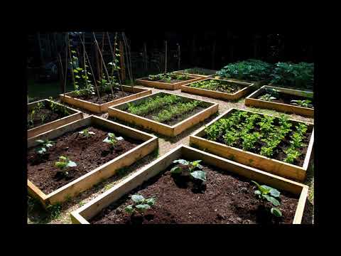 Video: Ideen Für Die Dekoration Eines Gartenbetts