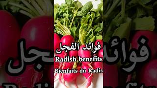 فوائد الفجل/Radish benefits/Bienfaits du Radis#shorts