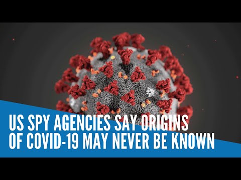 US spy agencies say origins of COVID-19 may never be known