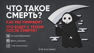 Что такое смерть? Как мы умираем? Что будет с телом после смерти?