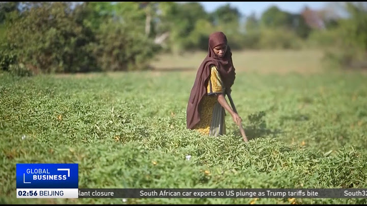 Tanzania promotes forgotten crops to fight hunger