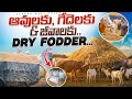 #dairyfarm dry fodder రైతులకు అందుబాటులో కలదు!#viralvideo #trending