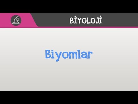 Biyomlar