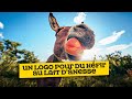 Un logo pour concurrencer Ciao Kombucha de Squeezie
