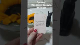 Послание Оракула для Вас здесь и сейчас!!! 💌🔮