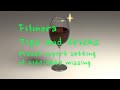 Preset portrait mode setting missing