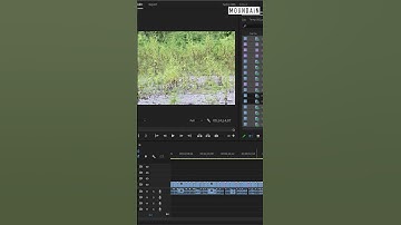 Show duplicate clips on timeline in Premiere Pro #videoeditingtips #adobepremierepro