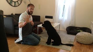 Training Nyla to Stay