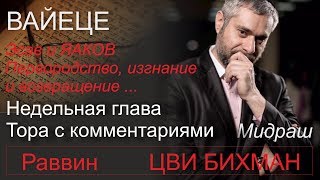 ВАЙЕЦЕ Эсав и ЯАКОВ Первородство, изгнание, возвращение Раввин Цви Бихман