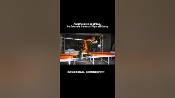 Automation is so strong, the future is the era of high efficiency#robot #factory #industrialrobot