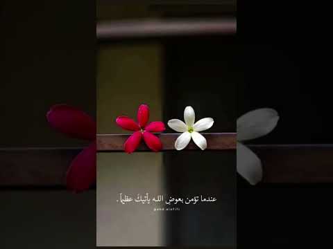 10 أوت 2025