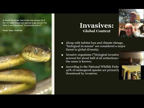 Video: Invasive planteoplysninger for zone 9-11 - Sådan undgår du at plante varme invasive stoffer