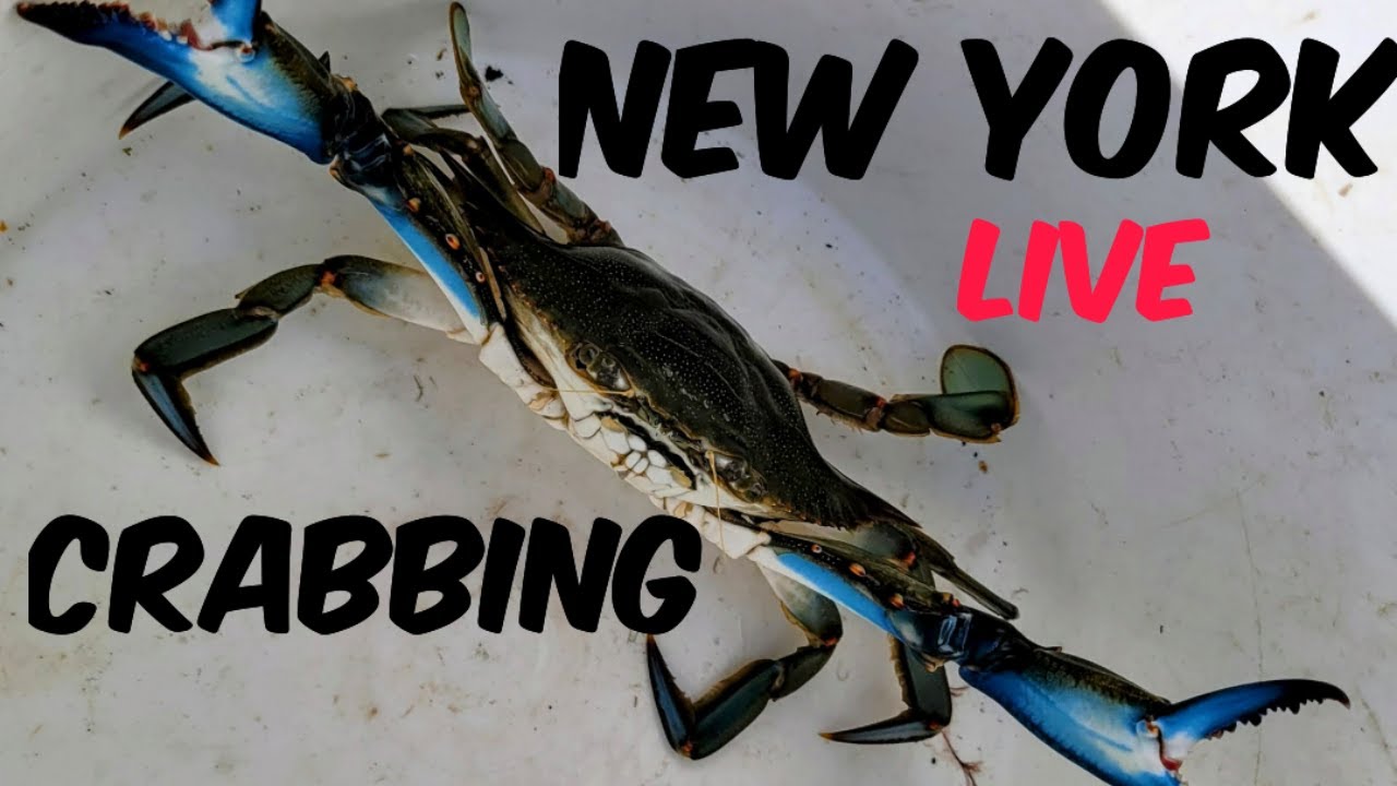 New York Crabbing 
