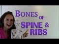 Bones of the Human Body Spine & Ribs | Anatomy & Physiology