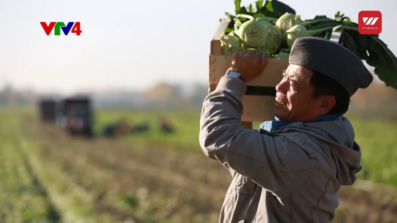 Vietnamese In Germany – 40 Years Of Immigration And Integration (part 1/5) | VTV World