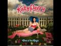 Katy Perry - Waking Up In Vegas ( Instrumental - Lyrics )