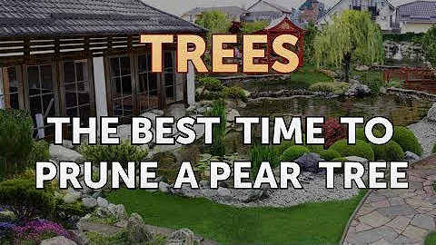 The Best Time to Prune a Pear Tree