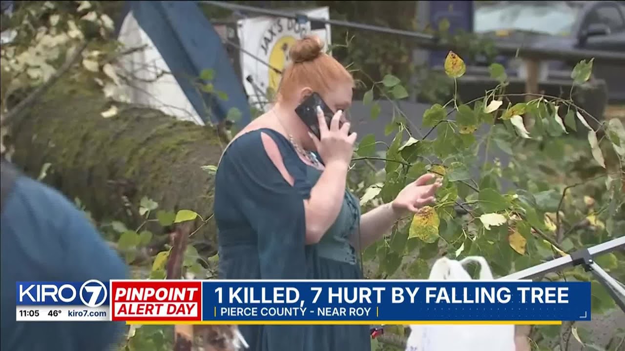 One dead after tree falls at Halloween event in Pierce County - YouTube