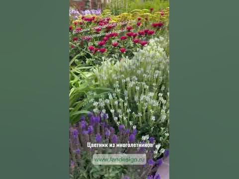 Пример цветника из многолетников🍃🌸 - YouTube