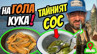 ДИВ КЪМПИНГ в РОДОПИТЕ (яз.Доспат).  Catch & Cook на ХРУПКАВ КОСТУР  с ЧЕСНОВ СОС