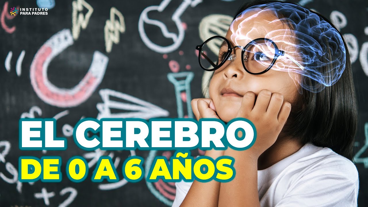 APRENDE CÓMO FUNCIONA Y SE DESARROLLA EL CEREBRO DE 0 A 6 AÑOS Y UTILÍZALO A TU FAVOR