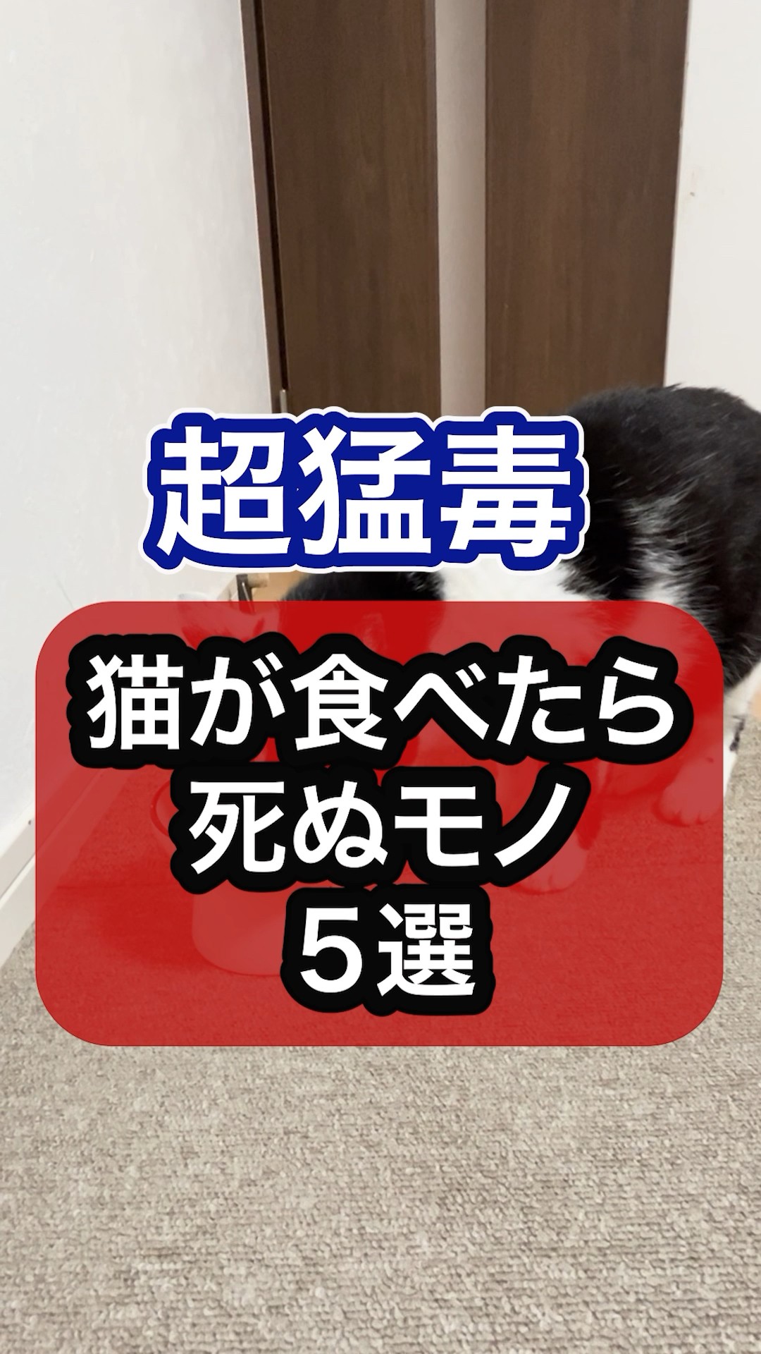 ↑Click the ▷ above for details👆️~Super poisonous! A