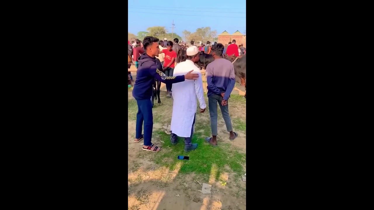 Lindar Live 24/7 Funny Videos