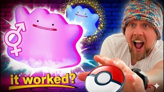ULTIMATE HOW TO CATCH DITTO WITH SECRET TIP 2025! 