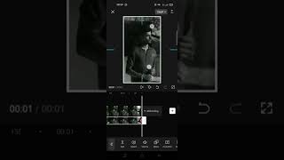 [Couldnt Find a Simple Capcut Ghost Effect Tutorial? Try This Step-by-Step Guide!] screenshot 5