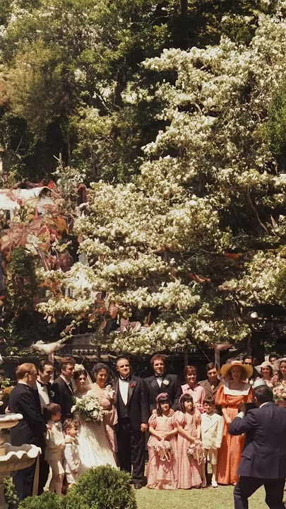 Don Corleone. #thegodfather #alpacino #godfather