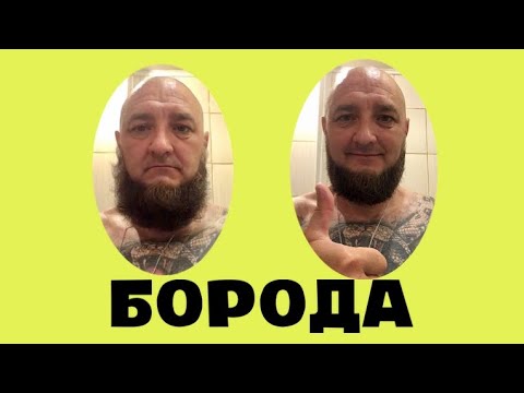 Борода.